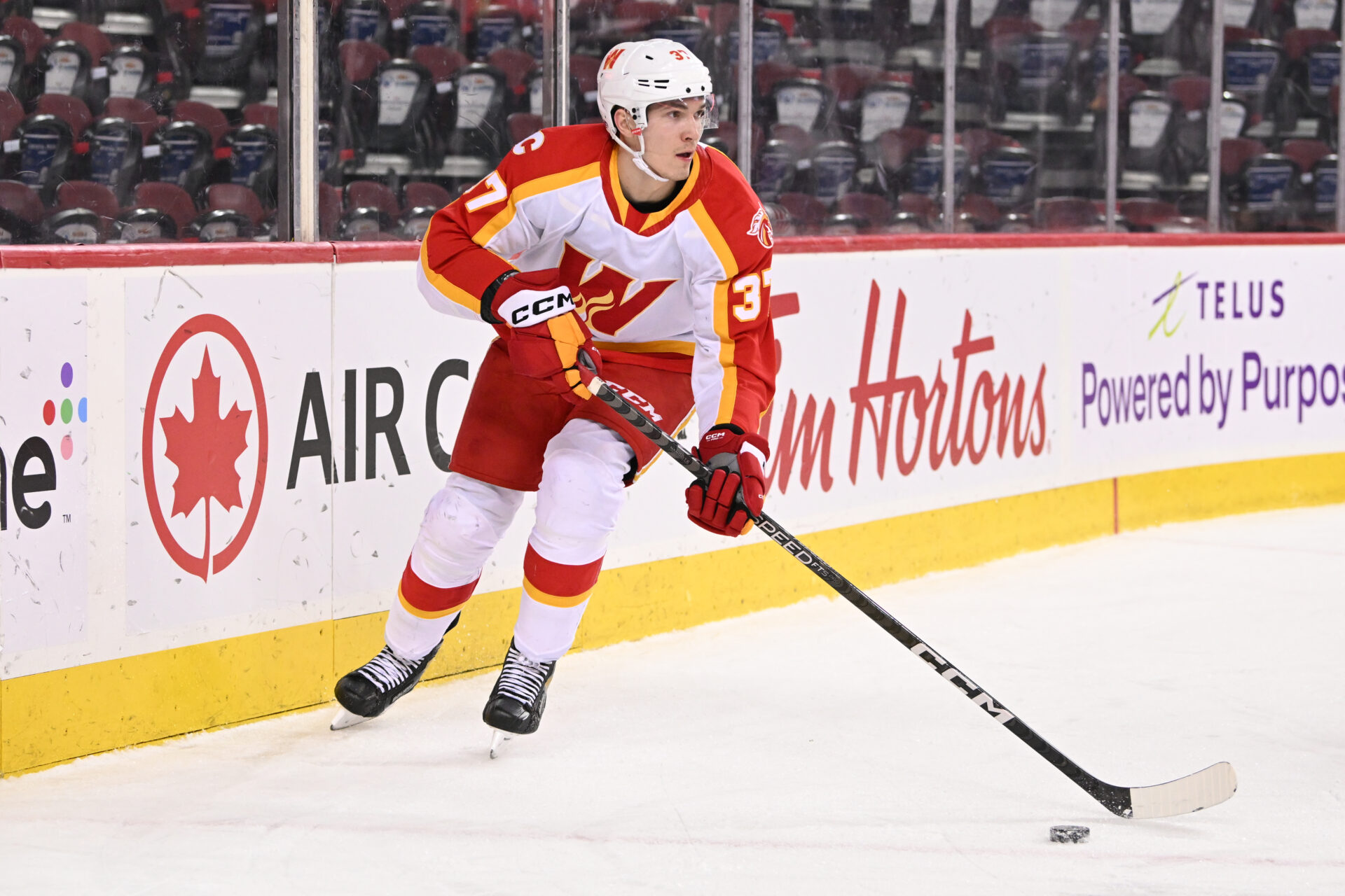 Calgary Wranglers vs San Jose Barracuda