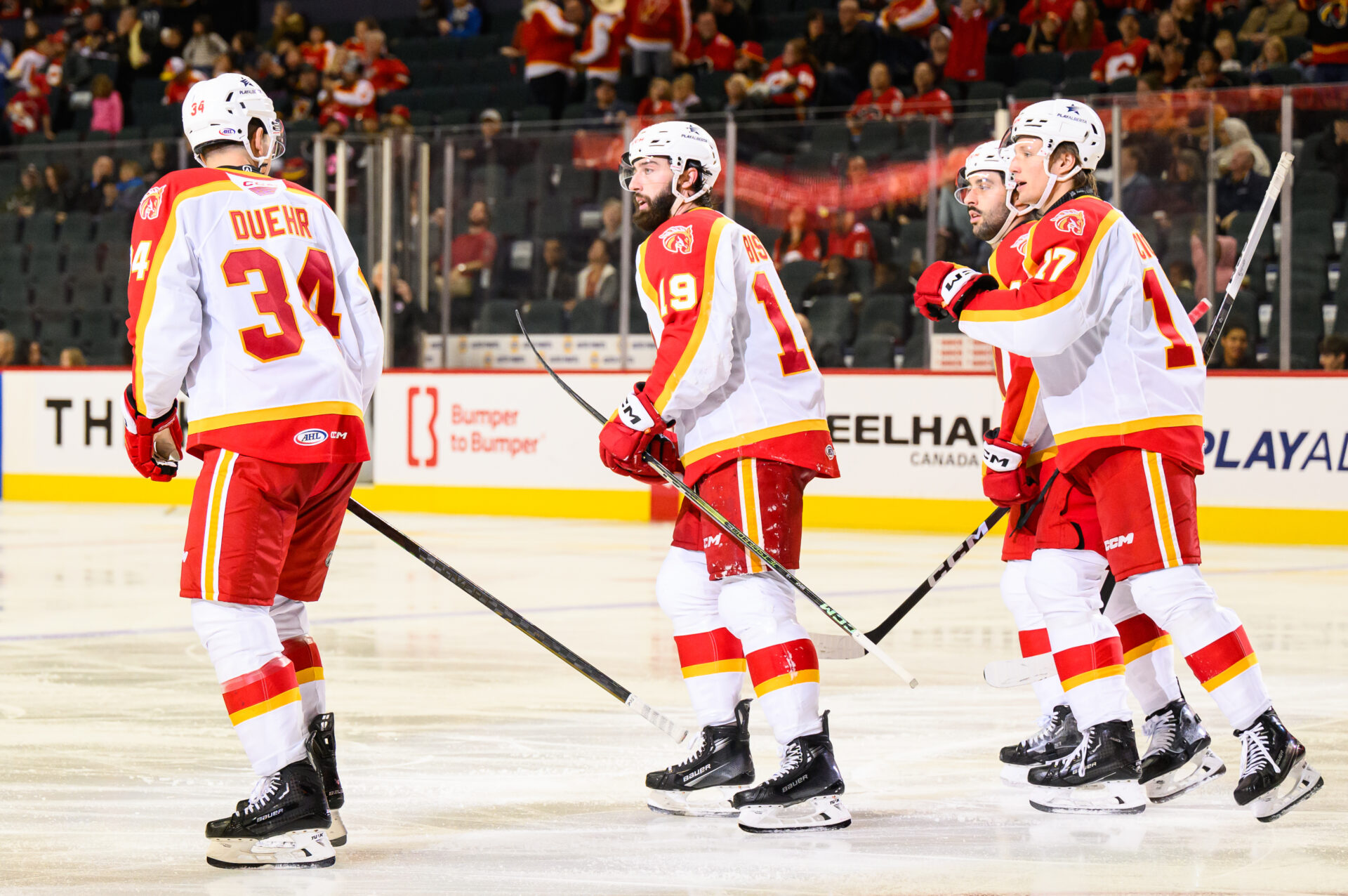 Calgary Wranglers vs. Abbotsford Canucks